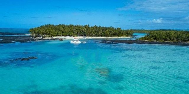 Exclusive trip d ambre ilot bernaches coin mire (14)